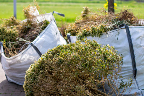 Best Shed Removal  in Alpha, NJ